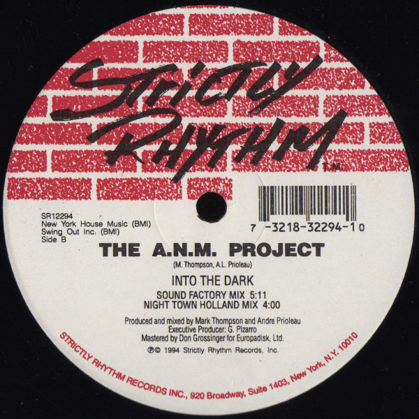 The A.N.M. Project - Into The Dark | Strictly Rhythm (SR12294) - 2