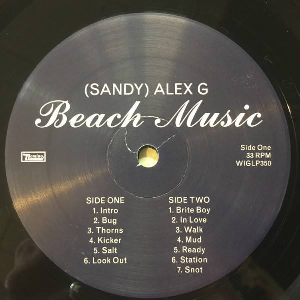 Alex G - Beach Music | Domino (WIGLP350) - 3