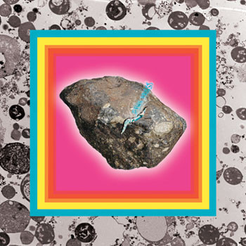 Pink Priest - Swallow Your Dreams | La Station Radar (none)