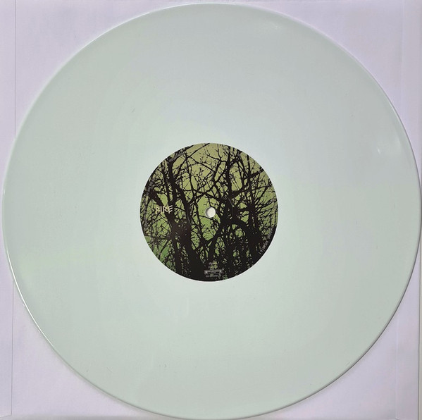 Type O Negative - Dead Again | Steamhammer (30280 2LP) - 4 Type O Negative - Dead Again | Steamhammer (30280 2LP) - 4