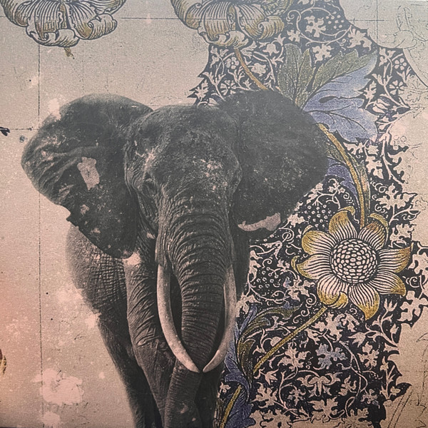 Sindaco feat. Marcela Dias/Abyssy/Stromboli - Spiritual Safari | New Interplanetary Melodies (NIM010)