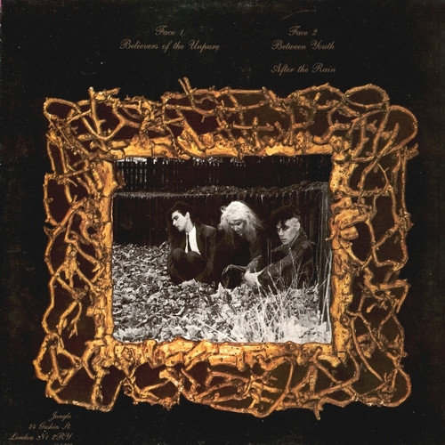 Christian Death - Believers Of The Unpure | Jungle Records (Jung 24T) - 2