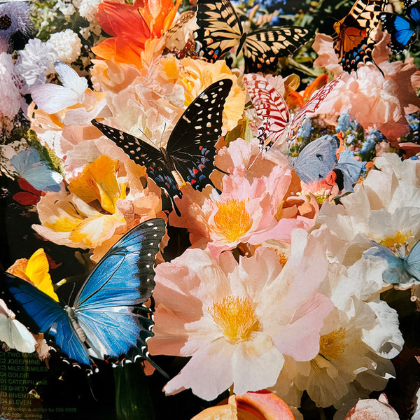 Daphni - Butterfly | Jiaolong (JIAOLONG034LP) - 3 Daphni - Butterfly | Jiaolong (JIAOLONG034LP) - 3