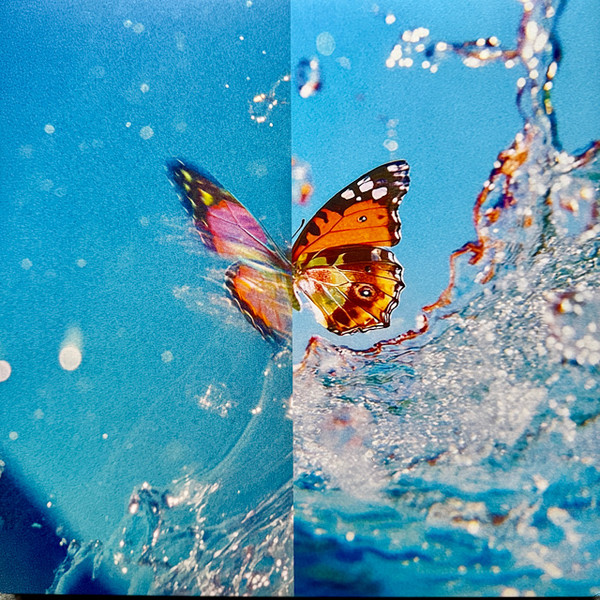 Daphni - Butterfly | Jiaolong (JIAOLONG034LP) - 4 Daphni - Butterfly | Jiaolong (JIAOLONG034LP) - 4