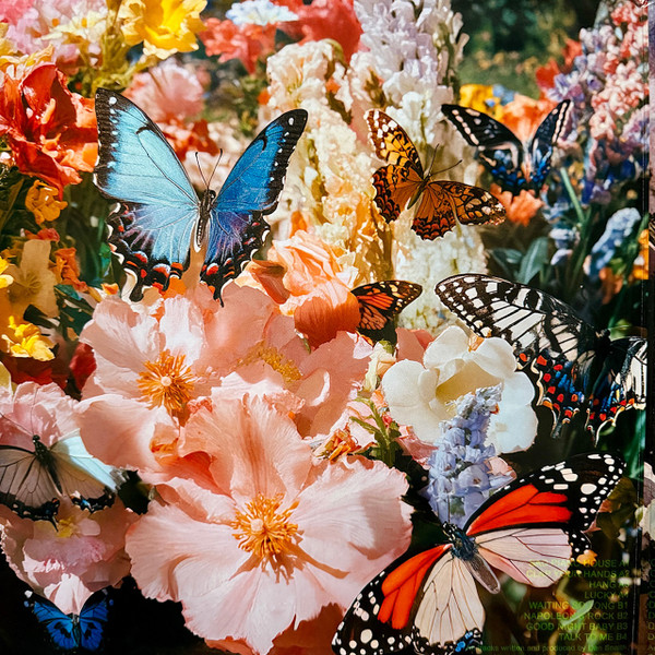 Daphni - Butterfly | Jiaolong (JIAOLONG034LP) - 2 Daphni - Butterfly | Jiaolong (JIAOLONG034LP) - 2