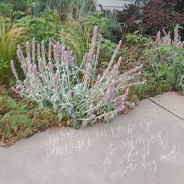Curbside Lambsear - Put Rings On All My Fingers To Weigh Down My Hands | Scenic Route (SR032)