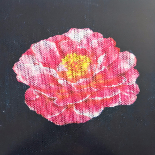 Post Malone - Tribute To Nirvana | Mercury (00602465233087) - main