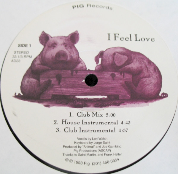 Lori Walsh - I Feel Love | Pig Records (AD23) - main