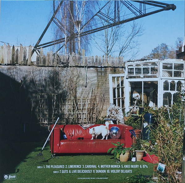 Jools - Violent Delights | Hassle Records (HOFF480LP) - 2