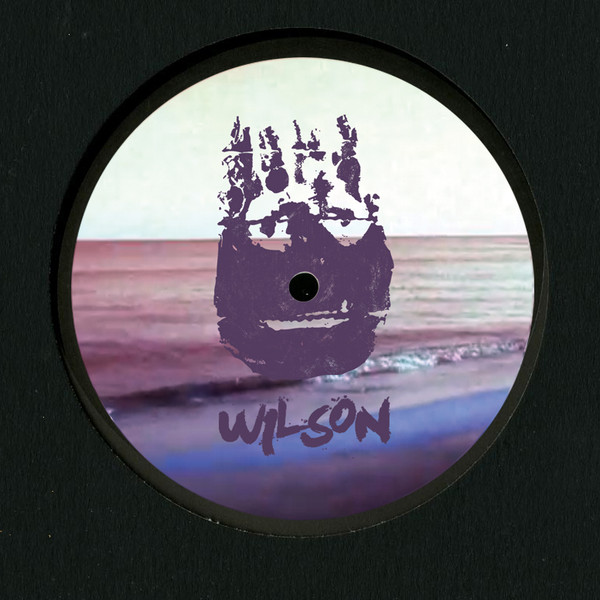 Fabio Monesi - Wishing On The Stars | Wilson Records (WLS16) - main