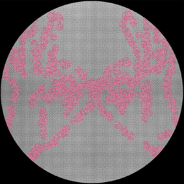 Various - CRTL-SP01.3 | Cartulis Music (CRTL-SP01.3) Various - CRTL-SP01.3 | Cartulis Music (CRTL-SP01.3)
