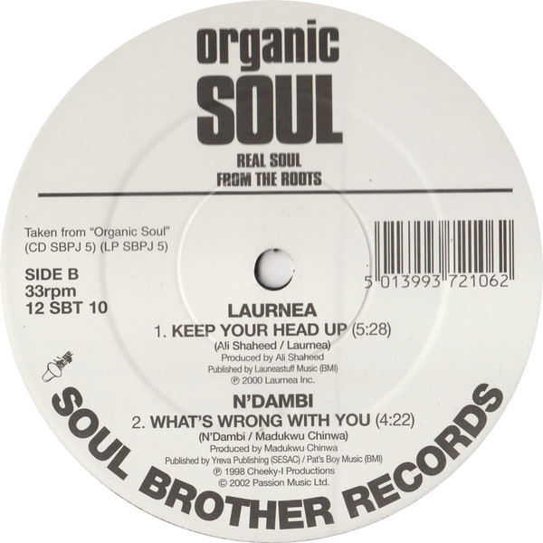 Various - Organic Soul Sampler (Real Soul From The Roots) | Soul Brother Records (12 SBT 10)