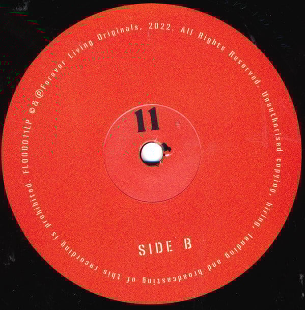 Sault - 11 | Forever Living Originals (FL00011LP) - 3 Sault - 11 | Forever Living Originals (FL00011LP) - 3