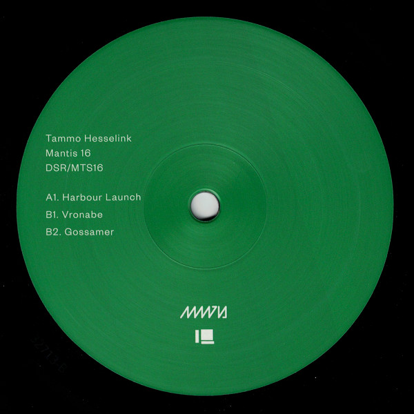 Tammo Hesselink - Mantis 16 | Delsin (DSR/MTS16) - 4
