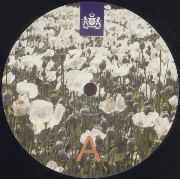 Various - Kamp Holland | Enfant Terrible (enfant 17)