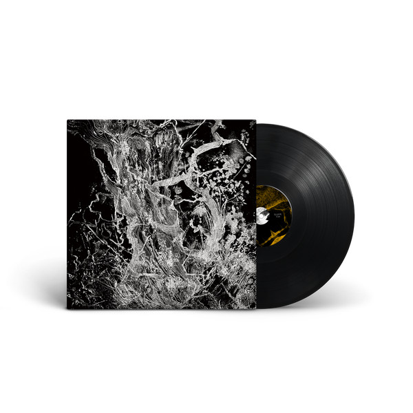 Bruit ≤ - Monolith | Pelagic Records (none)