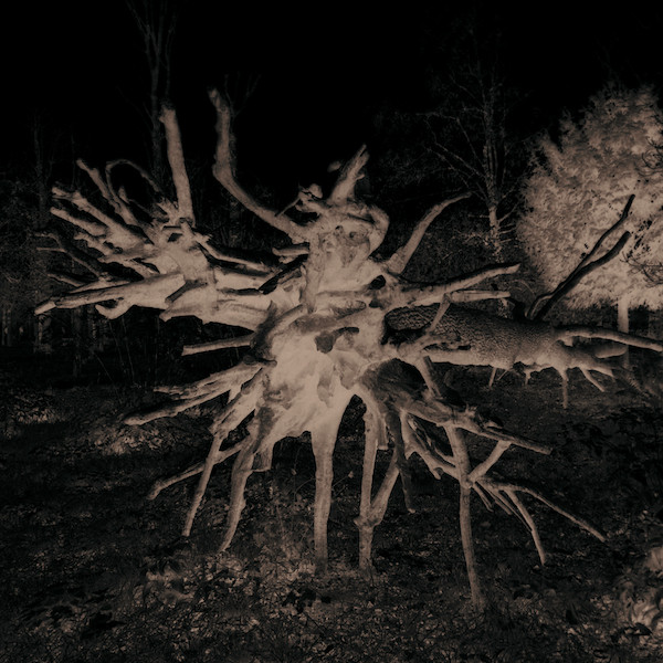 Trente Oiseaux Familiers - Trente Oiseaux Familiers | Dataglitch (DG0016)