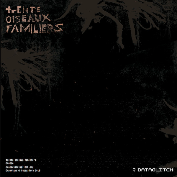 Trente Oiseaux Familiers - Trente Oiseaux Familiers | Dataglitch (DG0016) - 2