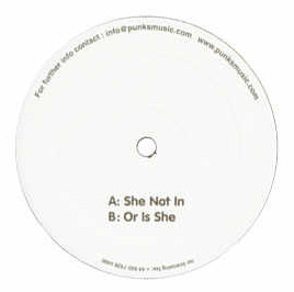 Stanton Warriors - She Not In | Punks (PUNKS 002) - 2