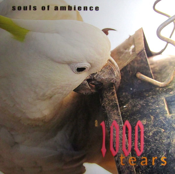 Souls Of Ambience - A 1000 Tears | Not On Label (SOAZR001) - main