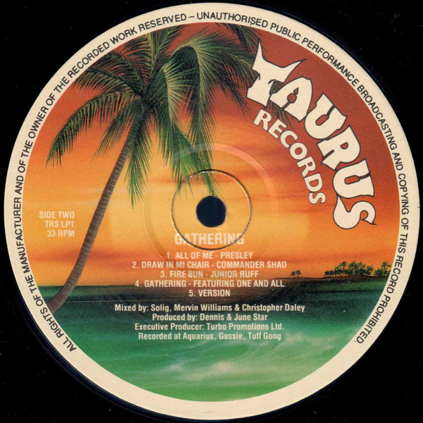 Various - Gathering | Taurus Records (TRS LP1) - 4