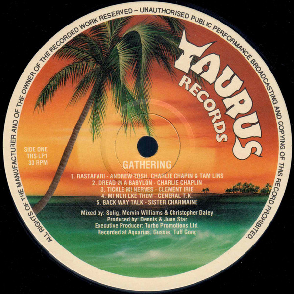 Various - Gathering | Taurus Records (TRS LP1) - 3