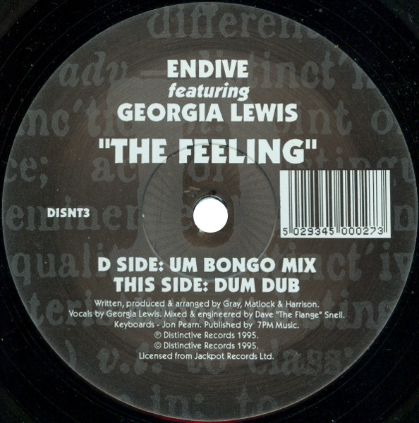 Endive featuring Georgia Lewis - The Feeling | Distinct'ive Records (DISNT3) - main