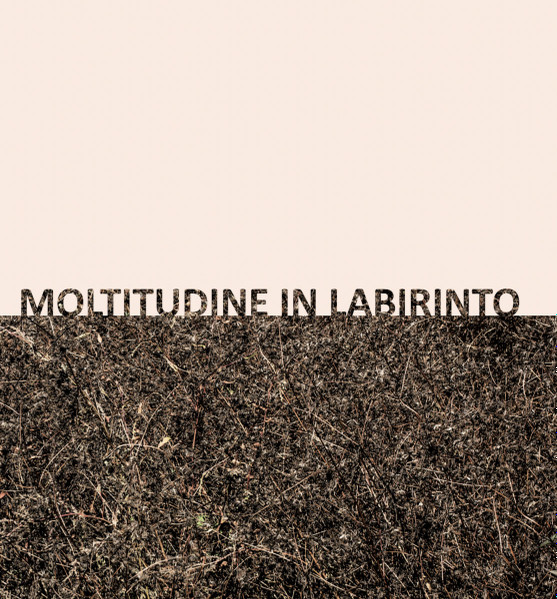 Gigi Masin & Giuseppe Caprioli - Moltitudine In Labirinto | 13 (sps2482)
