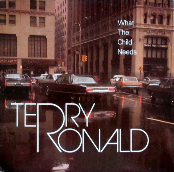 Terry Ronald - What The Child Needs | MCA Records (MCST 1569)