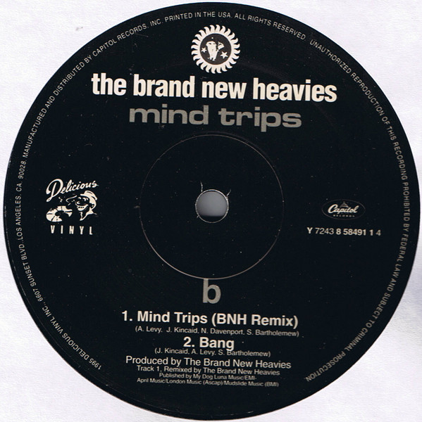 The Brand New Heavies - Mind Trips | Delicious Vinyl (Y 7243 8 58491 1 4) - 2