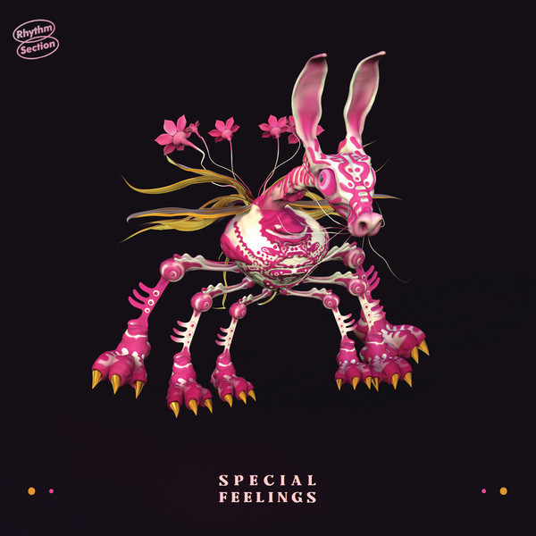 Special Feelings - Special Feelings | Rhythm Section International (RS060)