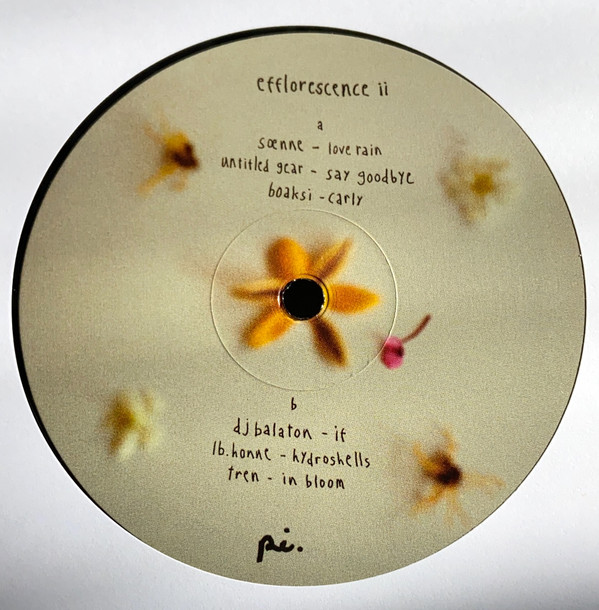 Various - Efflorescence II | Project Indigo (PI001) - main