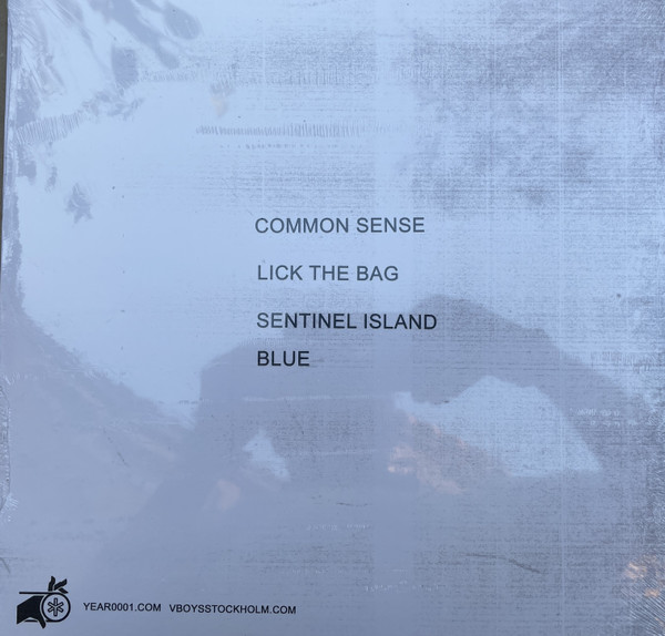 Viagra Boys - Common Sense | Year0001 (YR0098LPB) - 3