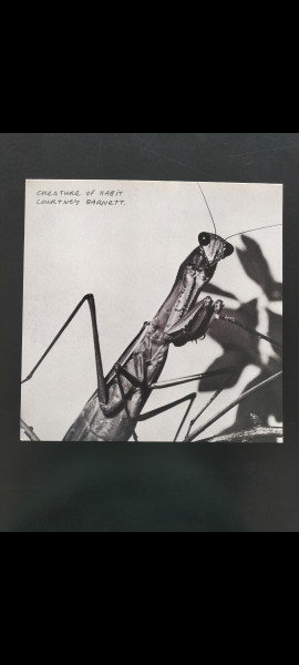 Courtney Barnett - Creature Of Habit | Mom + Pop (484186) - 2 Courtney Barnett - Creature Of Habit | Mom + Pop (484186) - 2