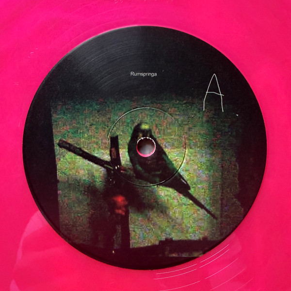 Ear - Rumspringa | A24 Music (A24M065) - 3