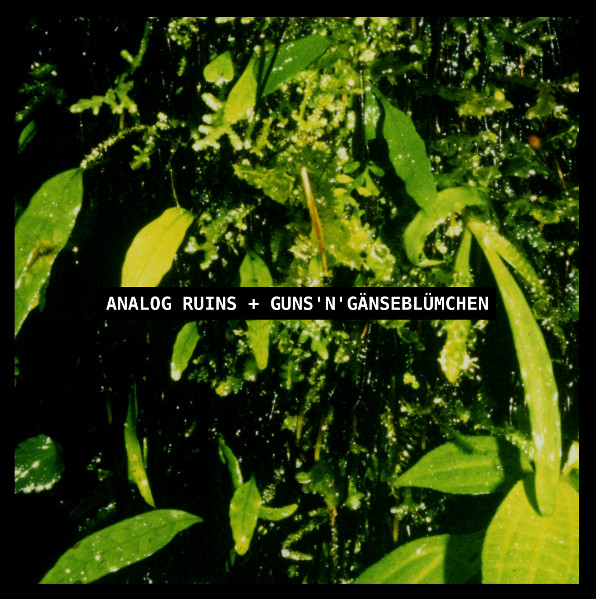 Guns'n'Gänseblümchen , Analog Ruins - Split | Donnez-moi du feu (#21) Guns'n'Gänseblümchen , Analog Ruins - Split | Donnez-moi du feu (#21)