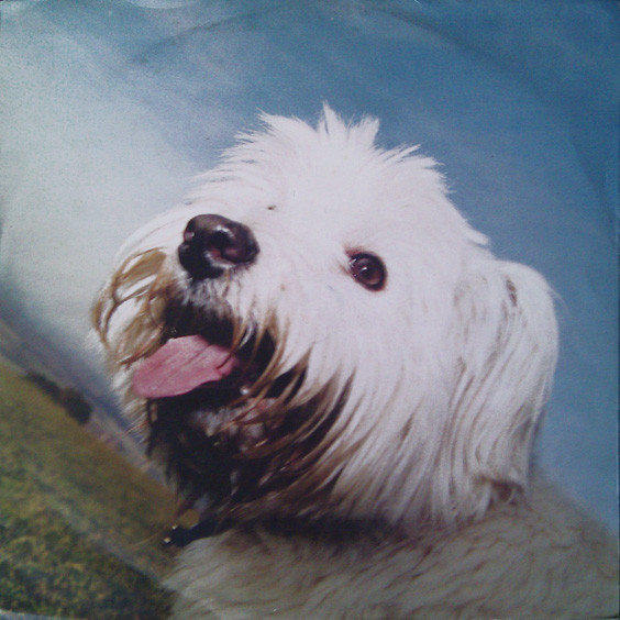 Moloko - Sing It Back (Mixes. 2) | Echo (ECDJ 712) - main