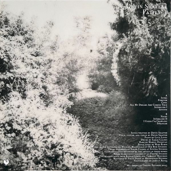 Devin Shaffer - Patience | American Dreams Records (87ADR) - 2