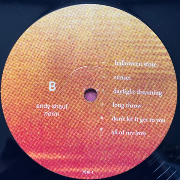 Andy Shauf - Norm | Anti- (7816-1) - 4