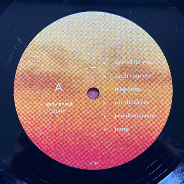 Andy Shauf - Norm | Anti- (7816-1) - 3