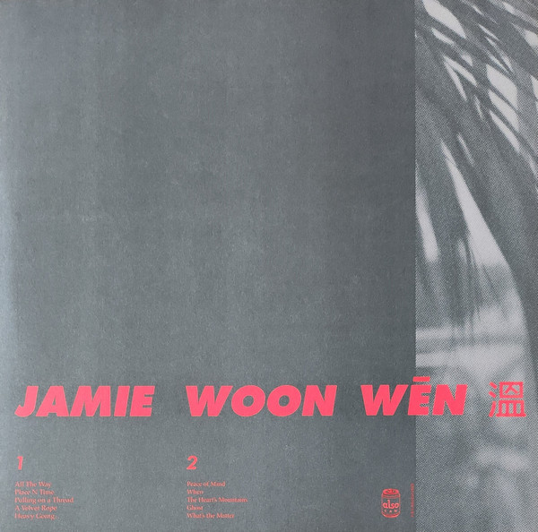 Jamie Woon - 3 10 Why When | Also Can (ALSOCAN001LPC) - 2