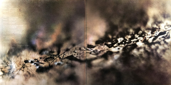 Tangerine Dream - Rubycon | Virgin (E-88754) - 4