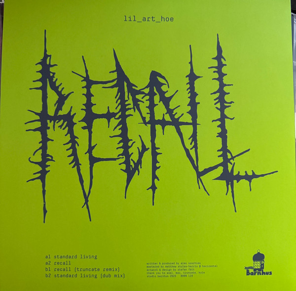 Lil_art_hoe - Standard Living | Studio Barnhus (BARN 119) - 4